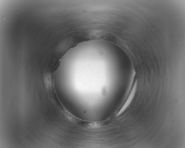 X0000068730335200605121524