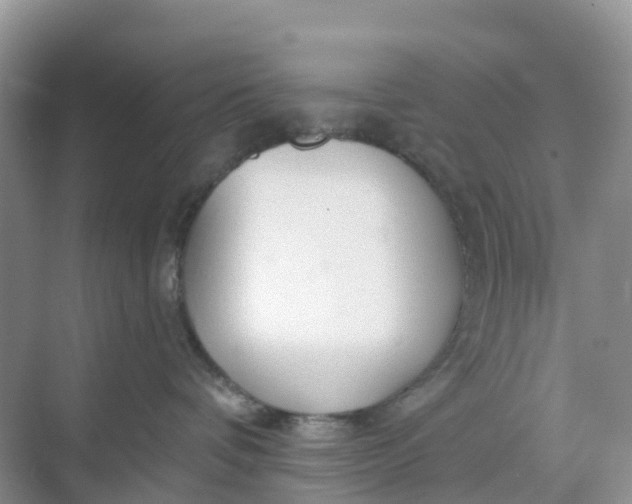 X0000068730336200605121524