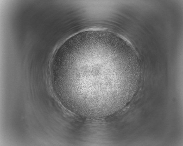 X0000068730337200605121523