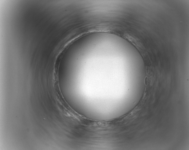 X0000068730338200605121524