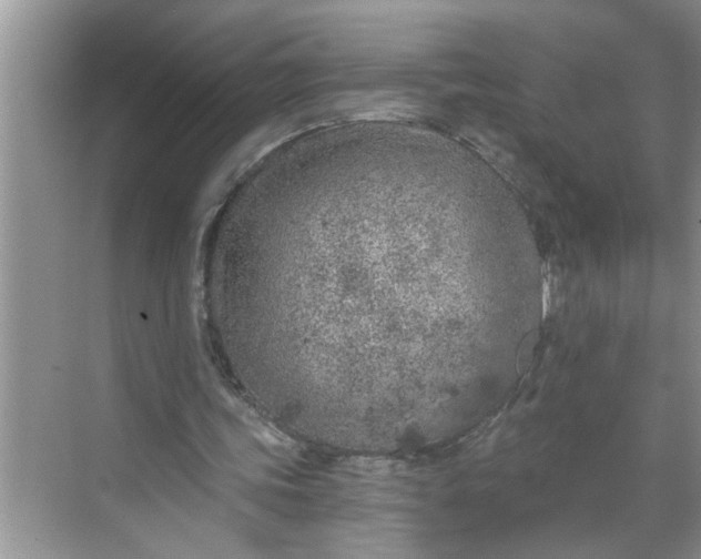 X0000068730339200605121524