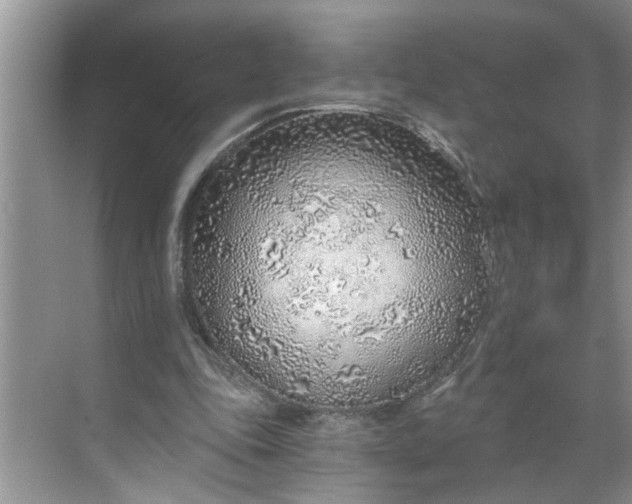 X0000068730343200605121524