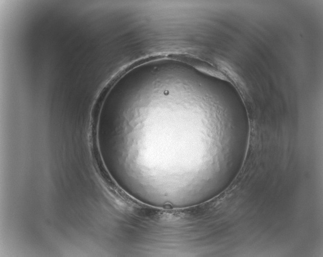 X0000068730346200605121524