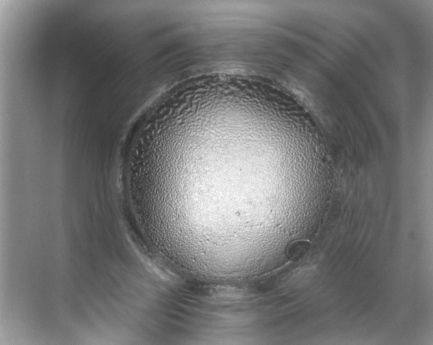 X0000068730347200605121524