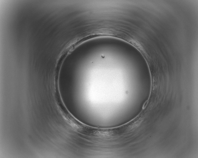 X0000068730349200605121524