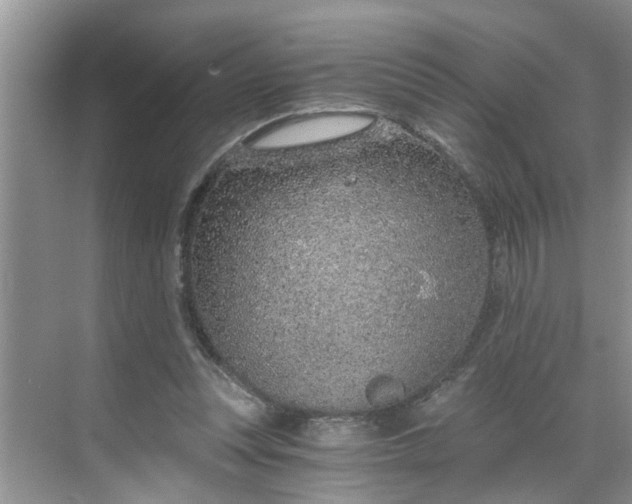 X0000068730351200605121524