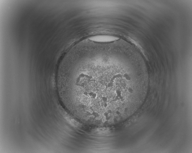 X0000068730353200605121524