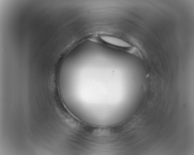 X0000068730354200605121524