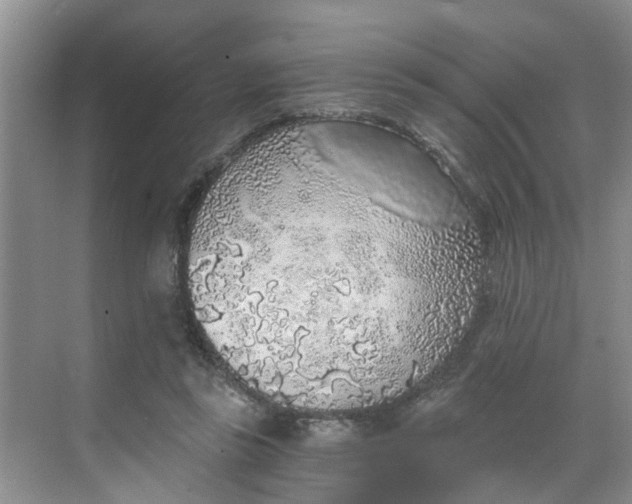 X0000068730355200605121524