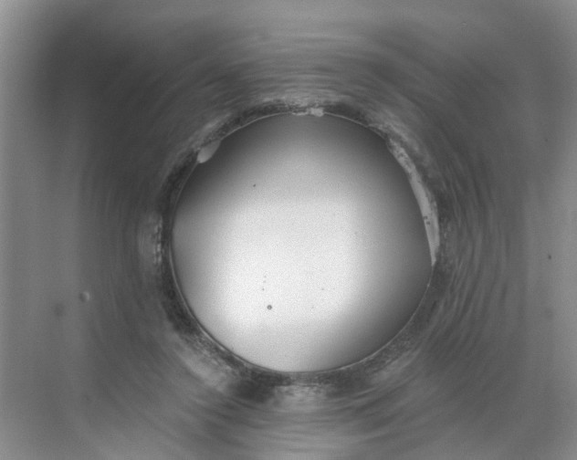 X0000068730356200605121524