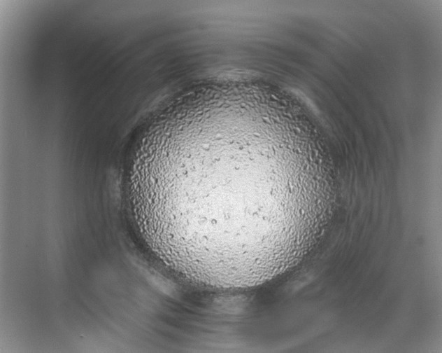 X0000068730357200605121524