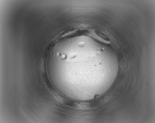 X0000068730359200605121524