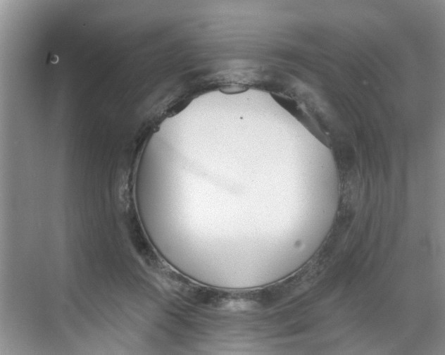 X0000068730360200605121524