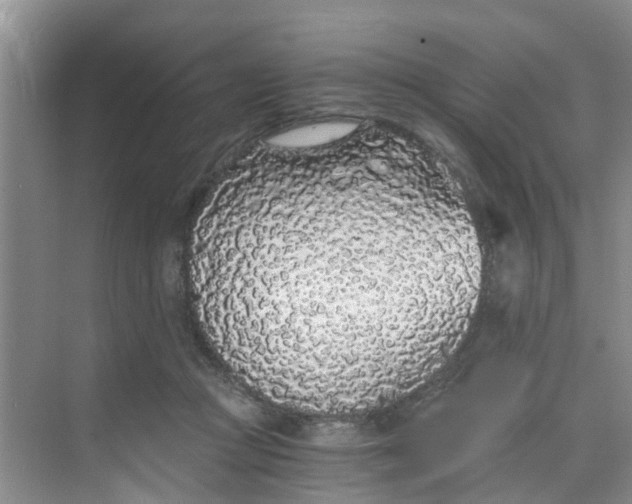 X0000068730361200605121524