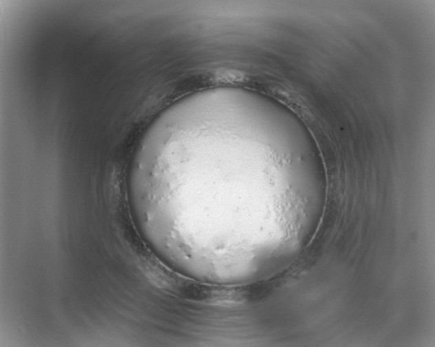 X0000068730363200605121524