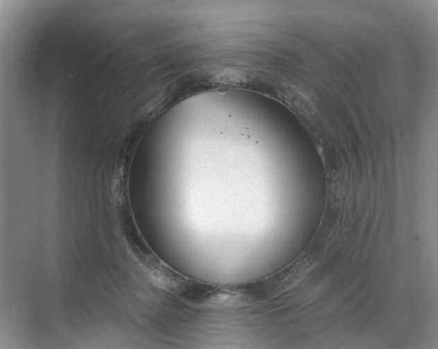 X0000068730364200605121524