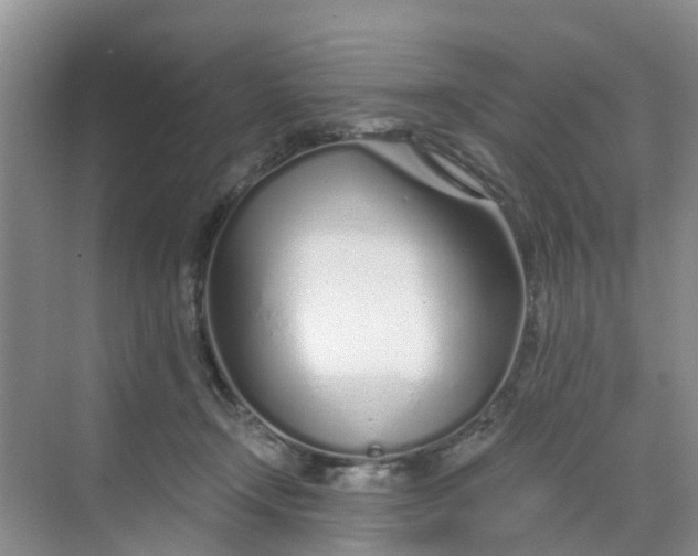 X0000068730366200605121524