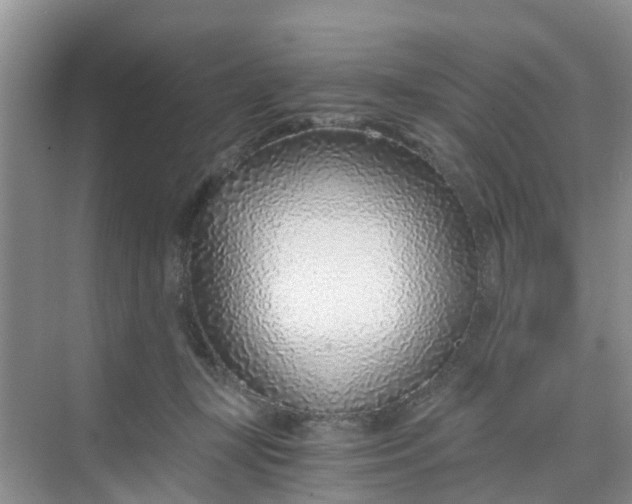 X0000068730367200605121524