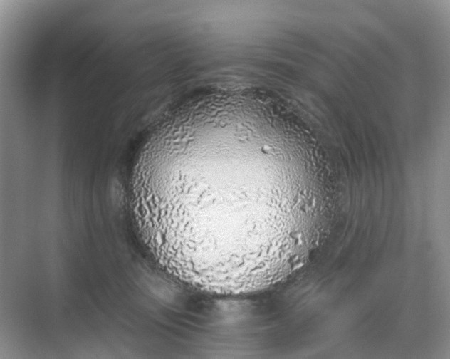 X0000068730371200605121524