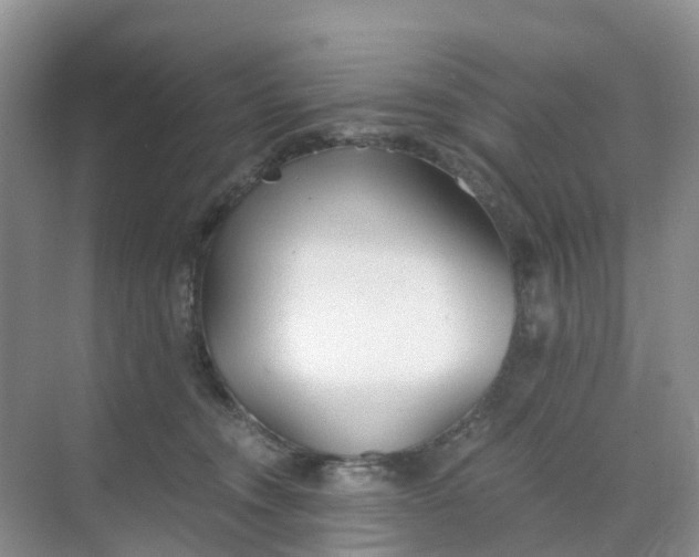 X0000068730372200605121524