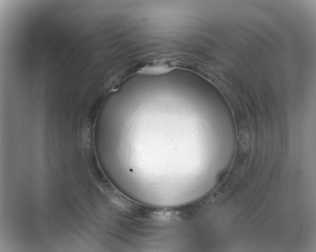 X0000068730375200605121524