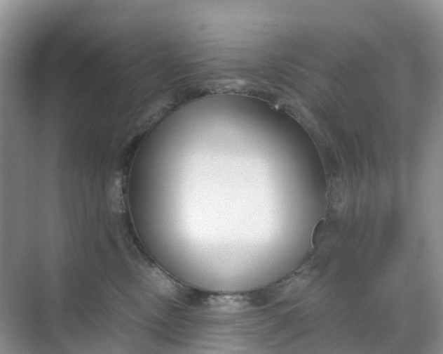 X0000068730378200605121524