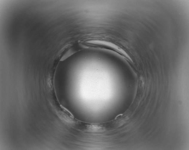 X0000068730380200605121524