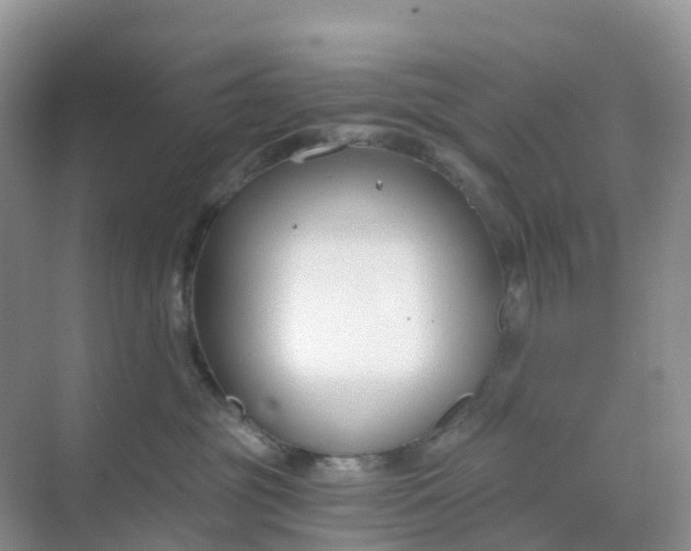 X0000068730381200605121524