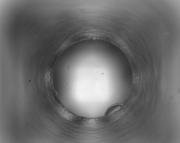 X0000068730382200605121524