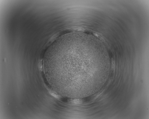 X0000068730383200605121524