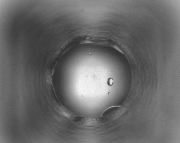 X0000068730384200605121524