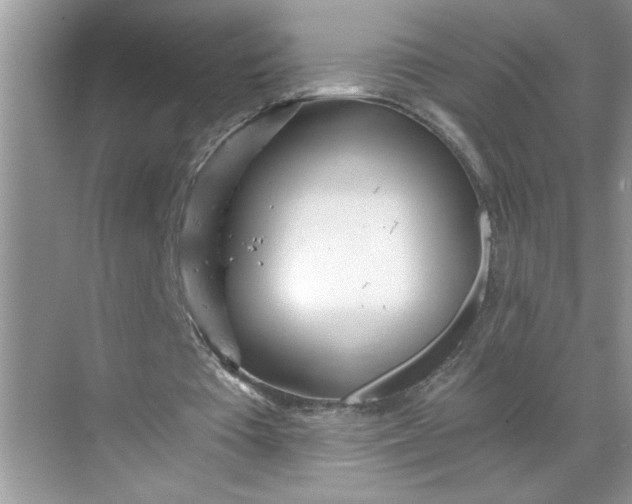 X0000068730385200605121523