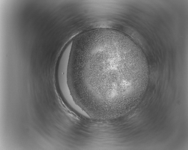 X0000068730386200605121523