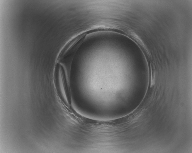 X0000068730387200605121523