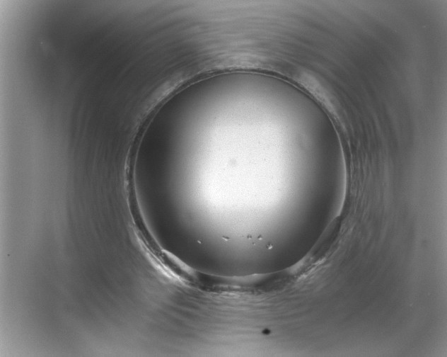 X0000068730389200605121523