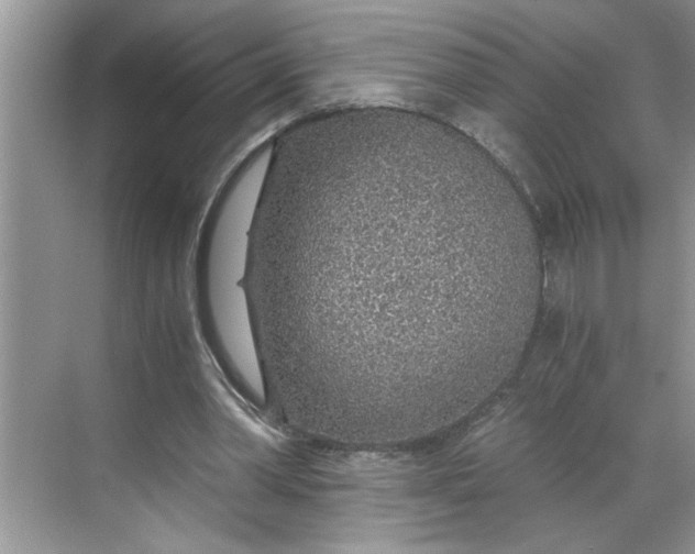 X0000068730390200605121523