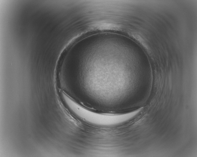 X0000068730391200605121523