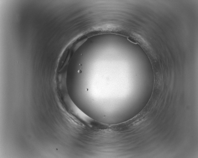 X0000068730392200605121523