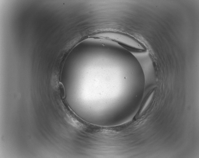 X0000068730393200605121523