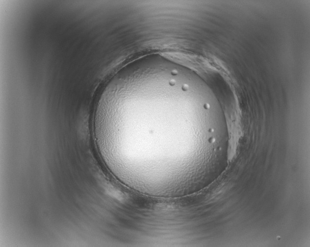 X0000068730394200605121523