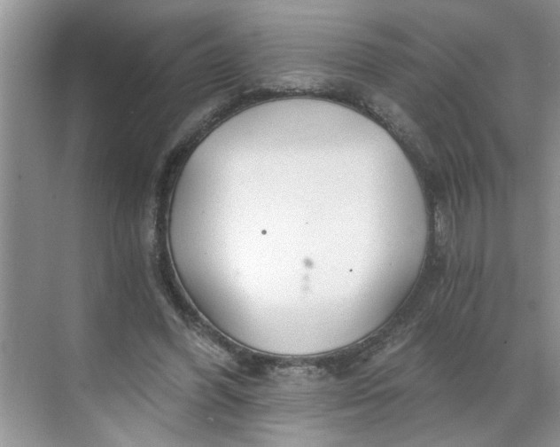 X0000068730396200605121523