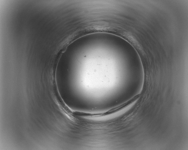 X0000068730397200605121523