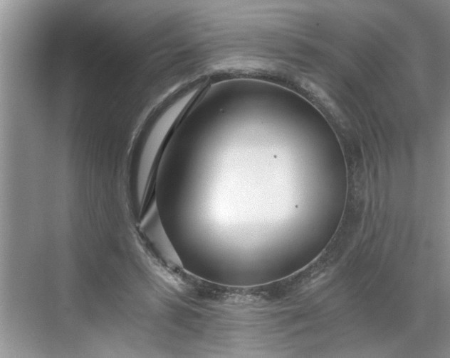 X0000068730399200605121523