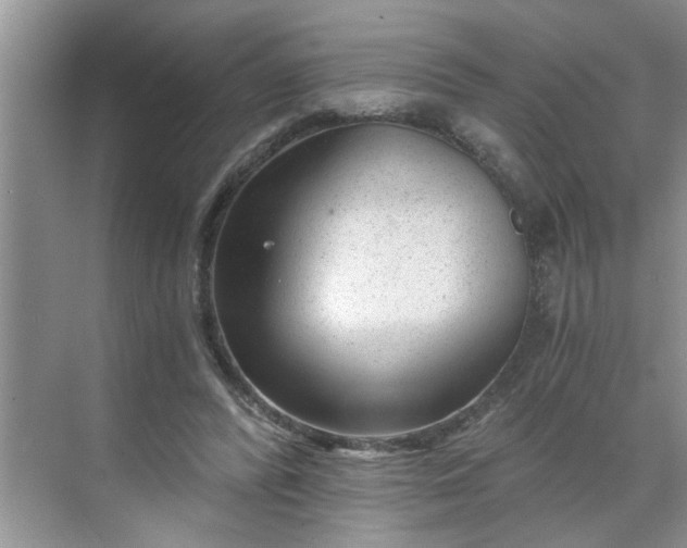 X0000068730400200605121523