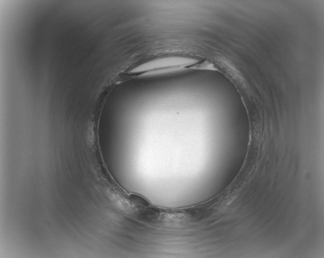 X0000068730401200605121523