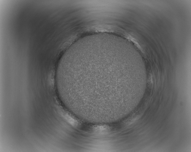 X0000068730402200605121523