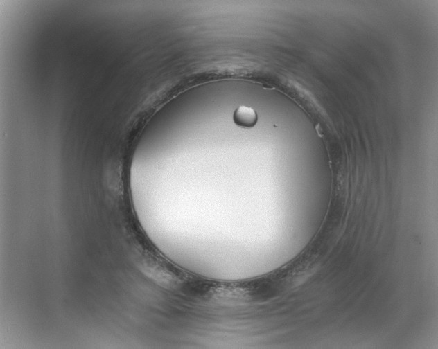 X0000068730403200605121523