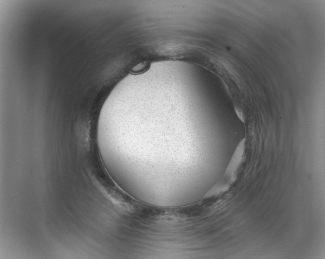 X0000068730404200605121523