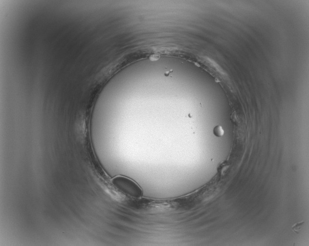 X0000068730405200605121523