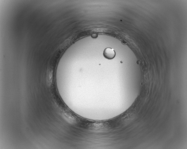 X0000068730406200605121523